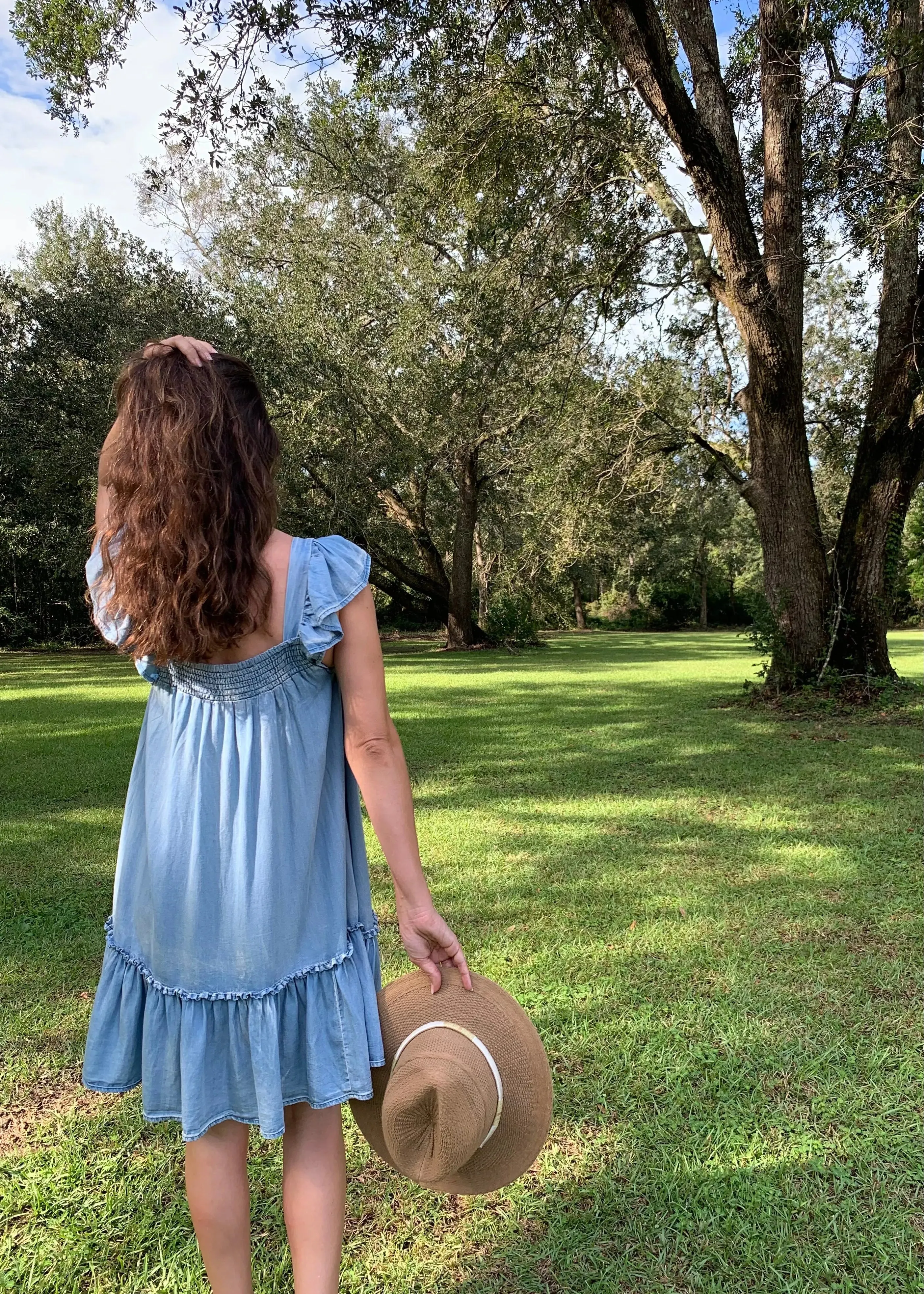 Ruffled Cap Sleeve Chambray Babydoll Dress