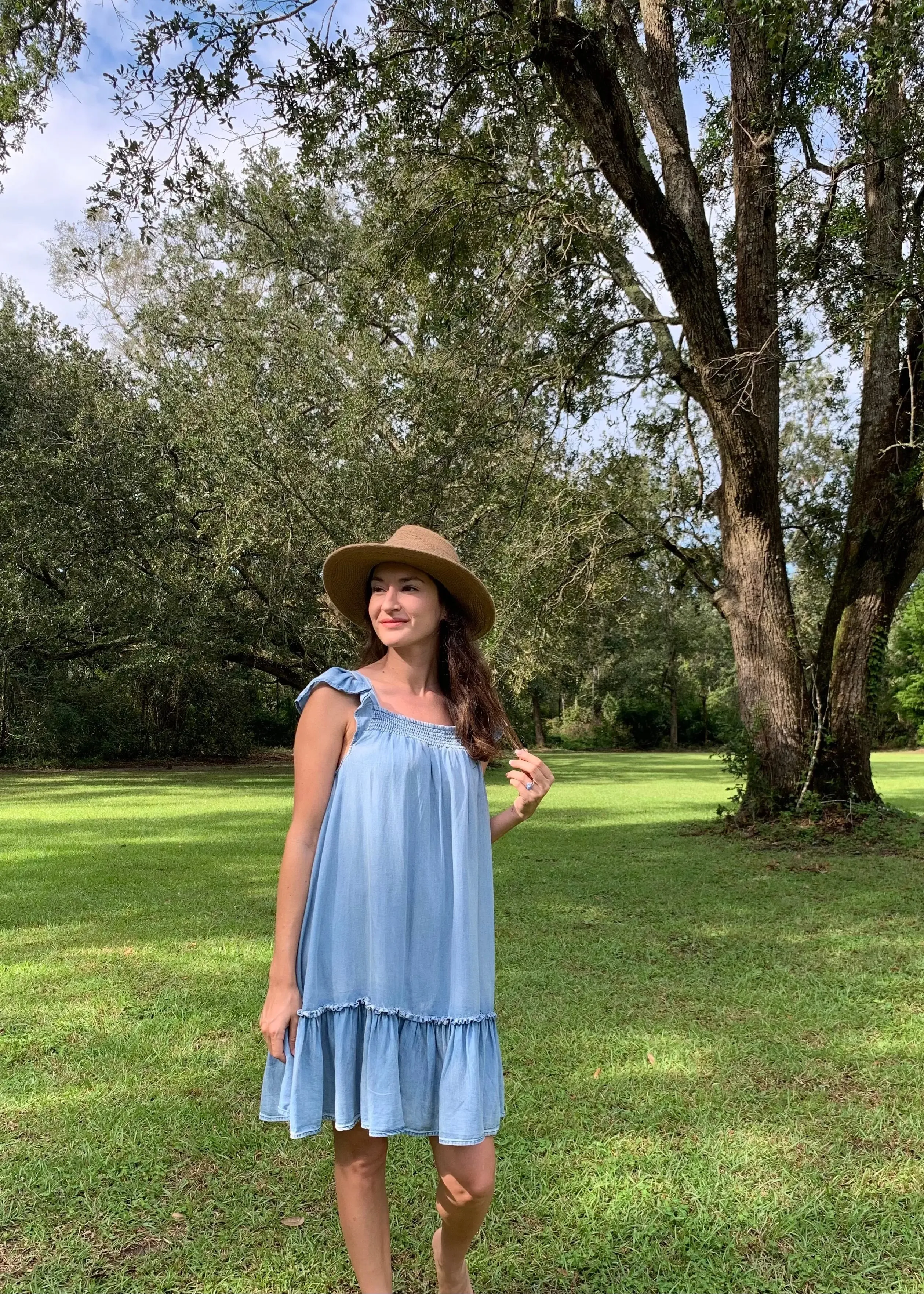 Ruffled Cap Sleeve Chambray Babydoll Dress